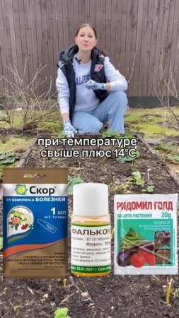 Уход за клубникой весной