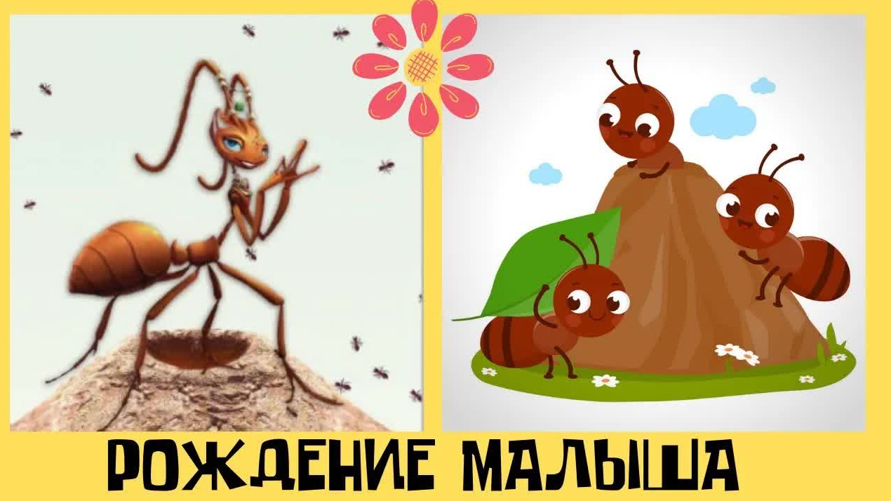 Муравьиная ферма. Рождение малыша