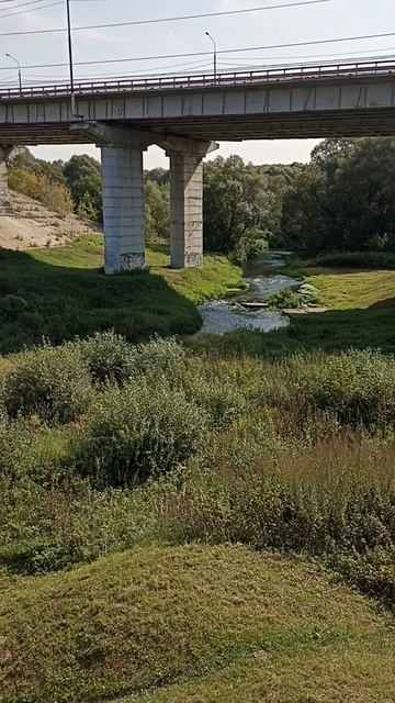 Река Моча в Подольске смотреть онлайн