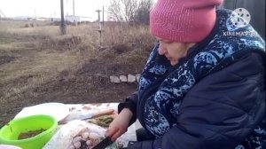 Теперь нам есть, что кушать/проблемы с дедом и помидорами