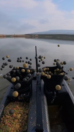Кто куда завтра на рыбалку?