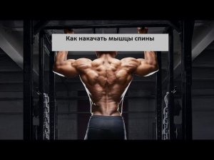 Как накачать мышцы спины - 5 тренировочных стратегий