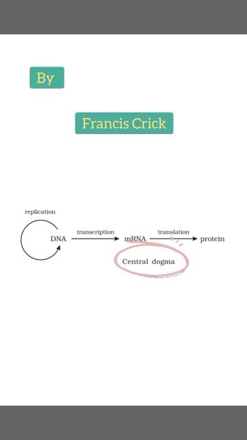 Central dogma #neetug смотреть онлайн