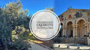 Гефсиманский сад. Место моления о Чаше. Церковь всех наций.