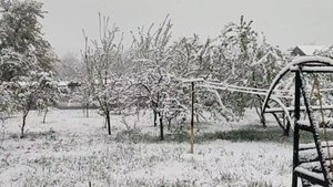 ЗИМА❄ВЕСНУ🌷ПОДВИНУЛА .прокатимся под музыку...