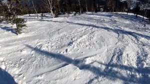 День5