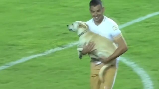 10 Нелепых Ситуаций в Спорте