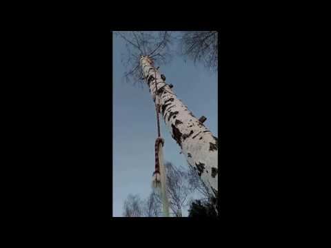 Прямая трансляция с карьеров, когда мы там катались на великах по льду смотреть онлайн