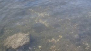 Темиртау .Самаркандское водохранилище.