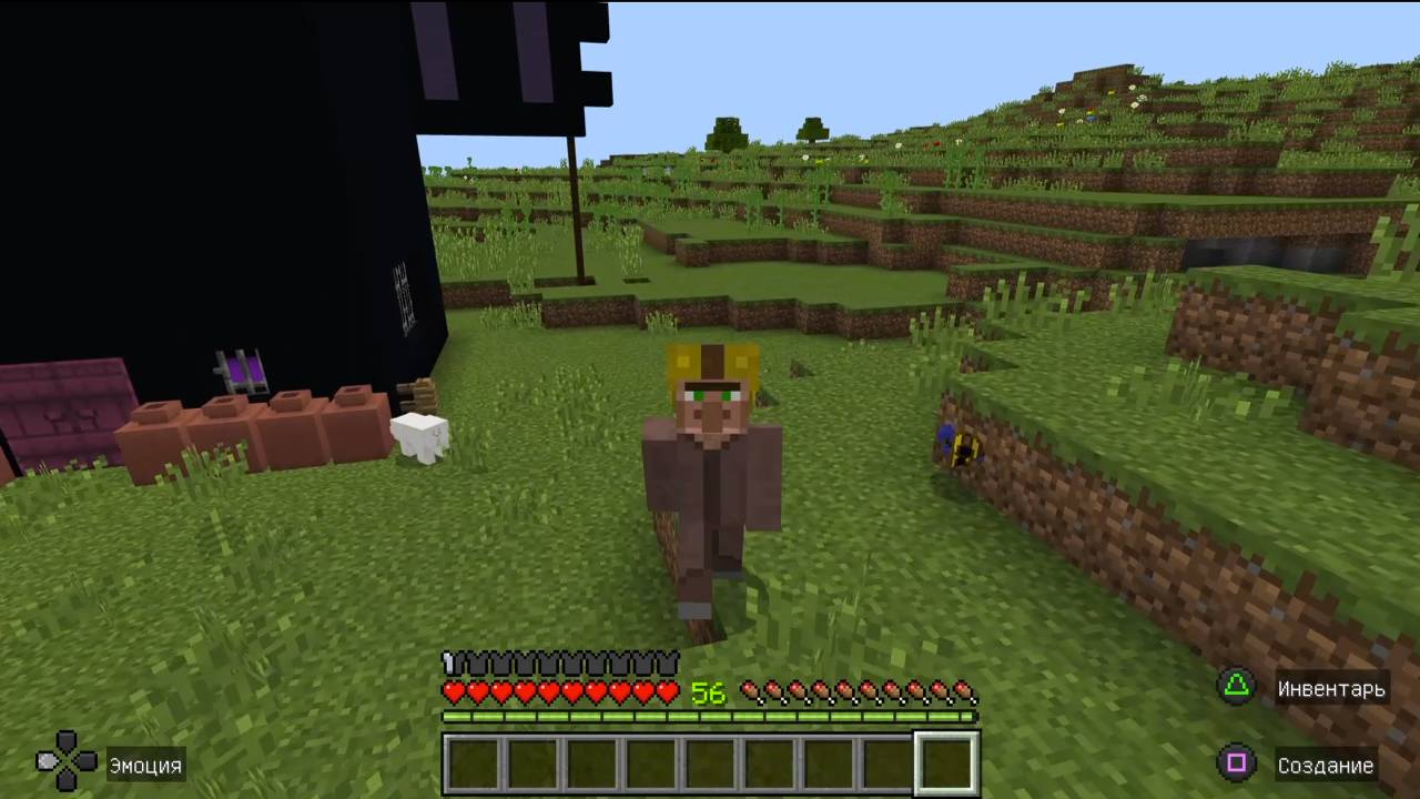 Житель путешествует