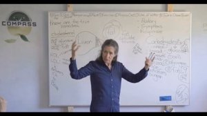 9 БАРБАРА ОНИЛЛ__ ФУНКЦИЯ ПЕЧЕНИ , ДЕТОКСИКАЦИЯ ПЕЧЕНИ