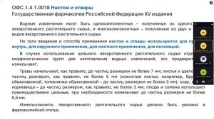 Встреча в Телемосте 11.04.25 10-05-18 — запись