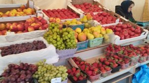 МОНИТОРИНГ Я.В.Д. 
(11.04.2025)