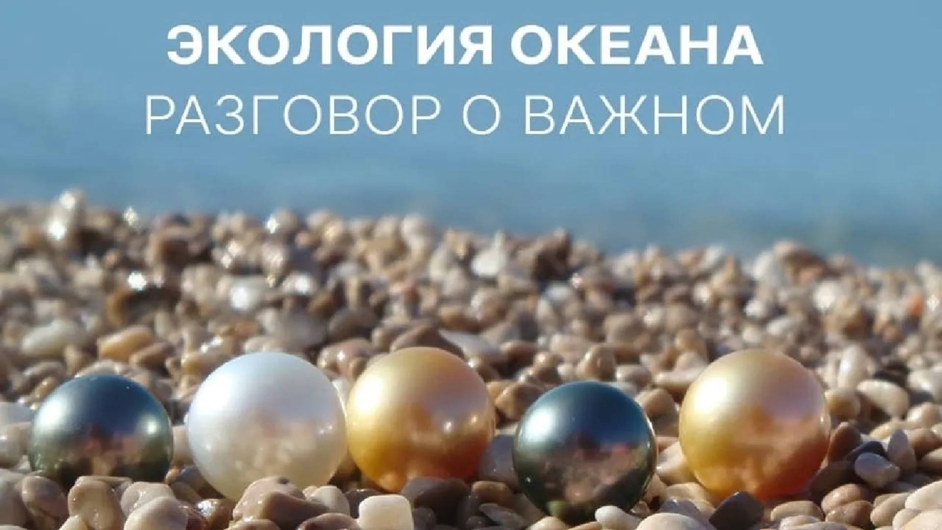 ЭКОЛОГИЯ ОКЕАНА 🌊 РАЗГОВОР О ВАЖНОМ