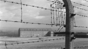 Игнорируют роль СССР: Европа пытается переписать историю освобождения концлагеря Бухенвальда