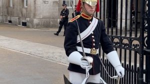 You can kiss him right? Queens Guard Close Up Detail