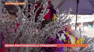 Старый базар. Верба