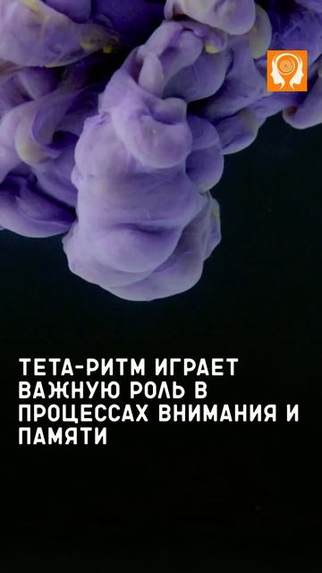 #Наука памяти Как люди запоминают