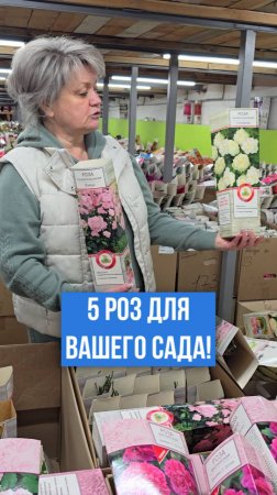 Эти 5 РОЗ должны быть в вашем саду!