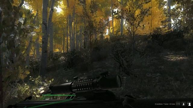 Co kupić, jaką broń na początek? #2 (theHunter Classic 2019) смотреть онлайн