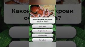 Какой цвет у крови осьминога???