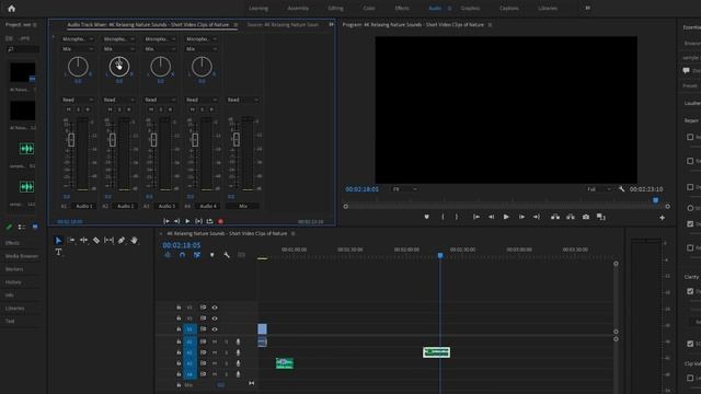 Basics to Advanced Audio Editing Tutorial in Adobe Premiere Pro смотреть онлайн