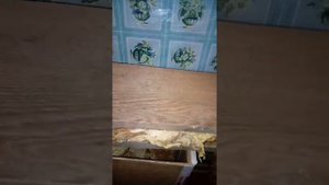 Табак Герцеговина Флор часть вторая(окончание).