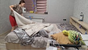 Бегу от бывшего мужа, в новую квартиру. Переезд в новое жилье