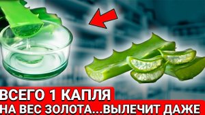 Всего одна капля натворит С ВАШИМ ОРГАНИЗМОМ ТАКОЕ...! Беру АЛОЭ и смешиваю......