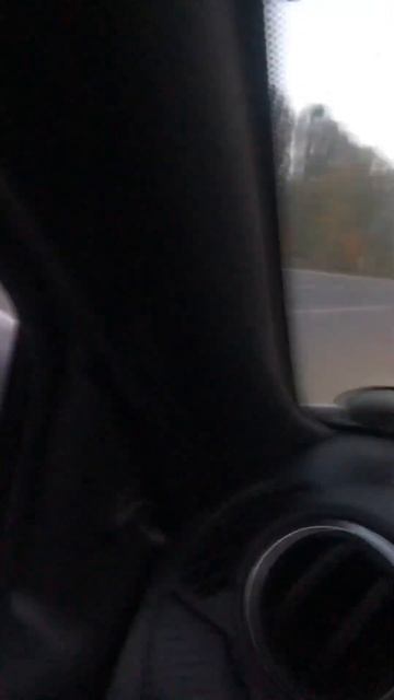 Dk pro comfort смотреть онлайн