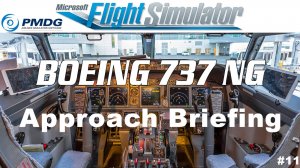 PMDG 737 for MSFS - Approach Briefing - Part 11
