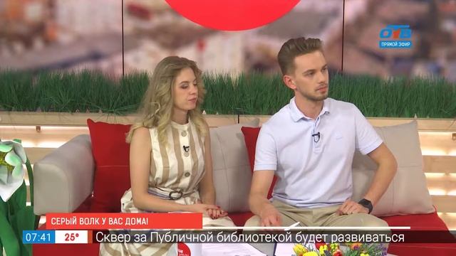 Серый волк у вас дома! смотреть онлайн