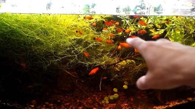 Началось. Покупка - продажа смотреть онлайн