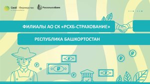 Филиалы АО СК «РСХБ-Страхование»: Республика Башкортостан