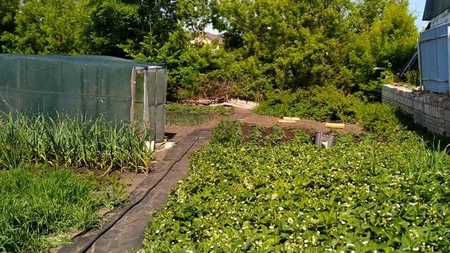 Эмоциональное видео Посчитаем мои денежки #Своимируками #ЕленаСитникова