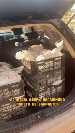 Как я развожу микрозелень