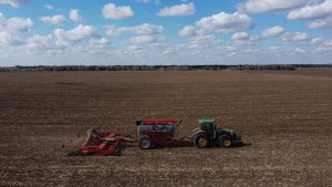 Патрушев: посевная площадь в России в 2025 году составит порядка 84 млн гектаров