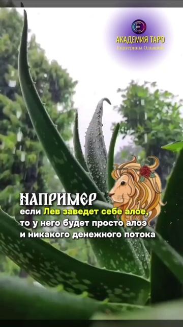 1000014734.mp4