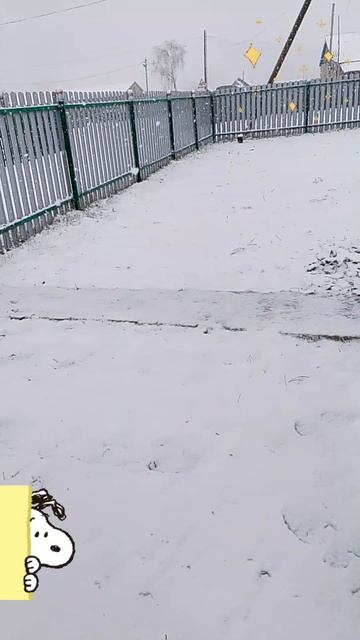 этого следовало ожидать