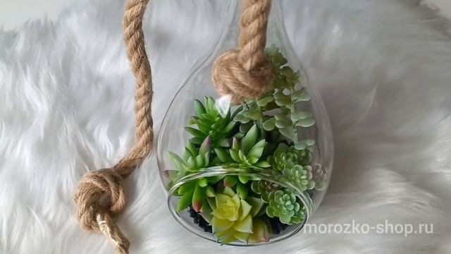 Подвесной флорариум ЭХЕВЕРИЯ В КАПЕЛЬКЕ - Грин Стар, стекло, искусственные суккуленты, 800937-1