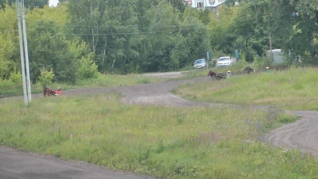 06.07.2019 г. 2-й заезд Приз Гладкой смотреть онлайн