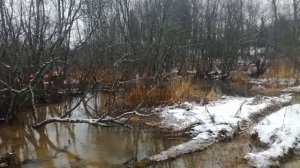 Уаз на белках.