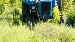 Возим дрова на МТЗ 80 #2