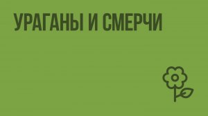 Ураганы и смерчи. Видеоурок по природоведению 5 класс