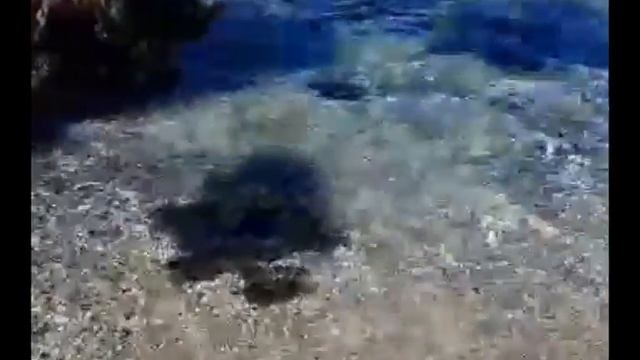 Я просто влюблённый чудак. смотреть онлайн