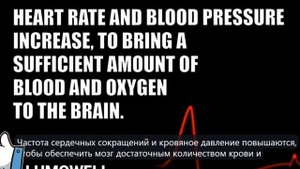 Сердечный приступ симптомы. 10 признаков, по кото