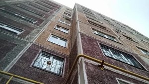 Мы уехали проведать внуков)) Попали в садовый центр, купили саженцы и не только))