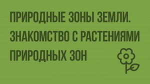 Природные зоны Земли. Знакомство с растениями различных природных зон. Видеоурок по природоведению