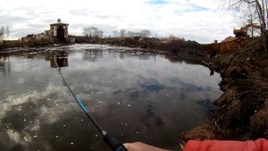 Рыбалка на Исети в Камышево весной. Хочу поймать окуня больше килограмма на микроджиг и отводной