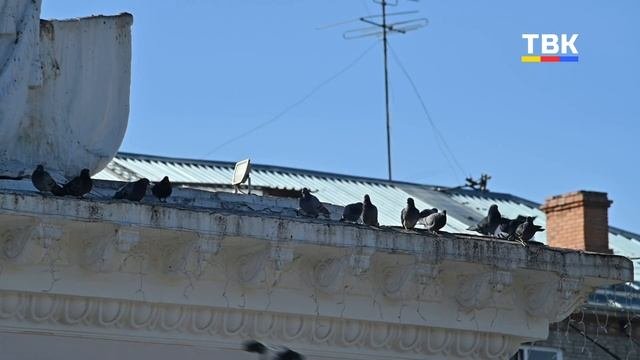 Паводок в Искитиме протекает спокойно